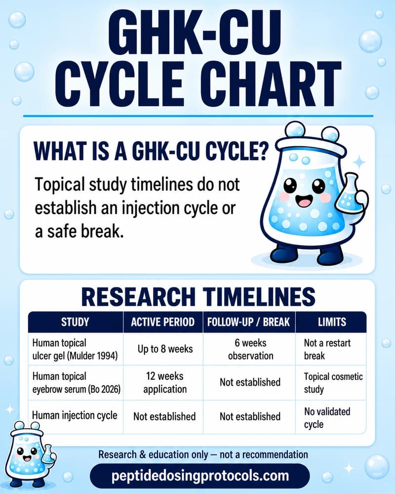 GHK-Cu research timelines: up to 8 weeks of topical ulcer-gel treatment followed by 6 weeks of observation, and a 12-week topical eyebrow study without a reported post-use interval. Human injection cycles and breaks are not established.