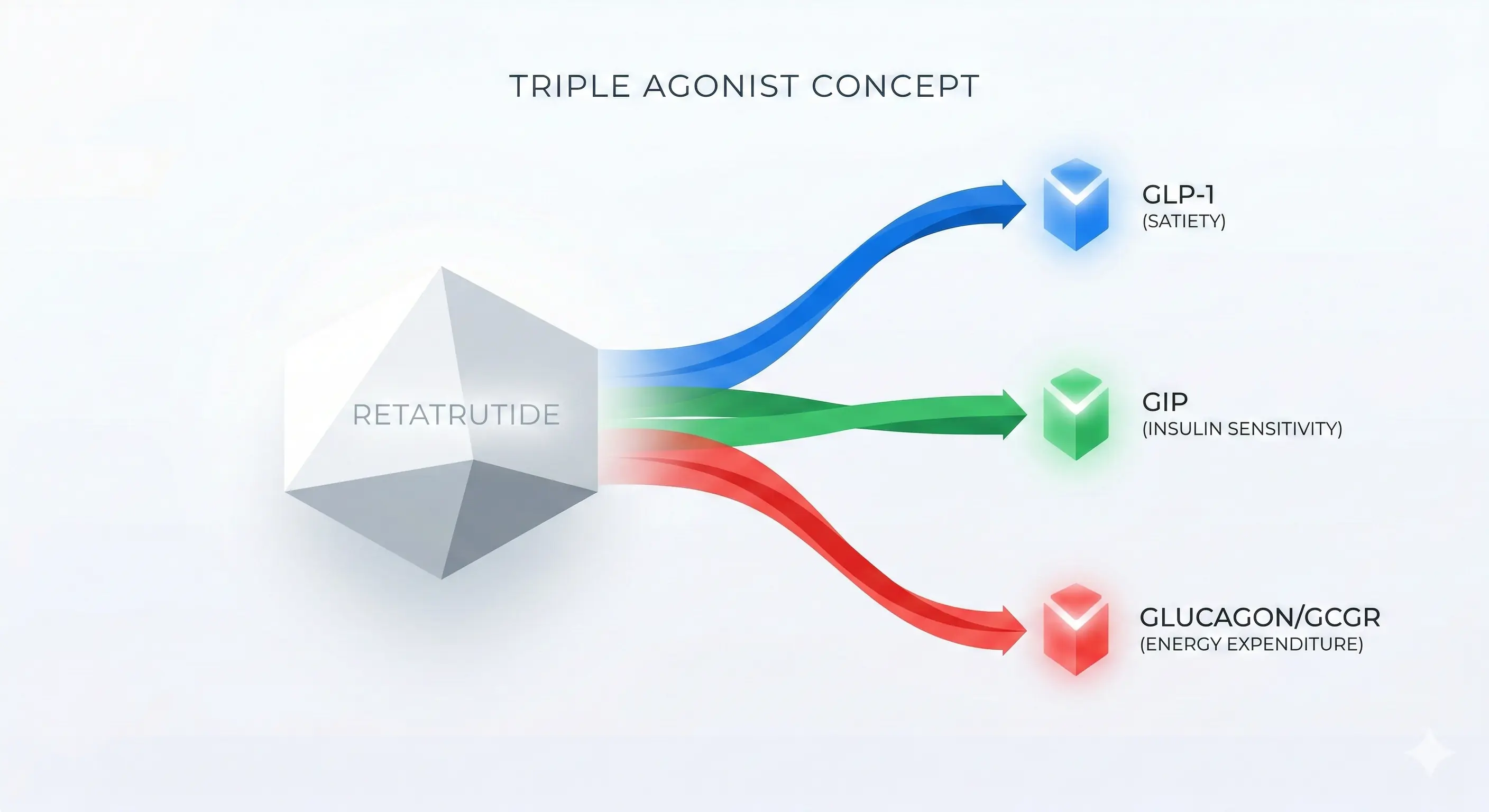Geometric diagram illustrating Retatrutide as a triple-agonist peptide concept, showing three flowing streams (Blue, Green, Red) simultaneously activating GLP-1, GIP, and Glucagon (GCGR) receptor icons on a pristine white background with minimal labels.