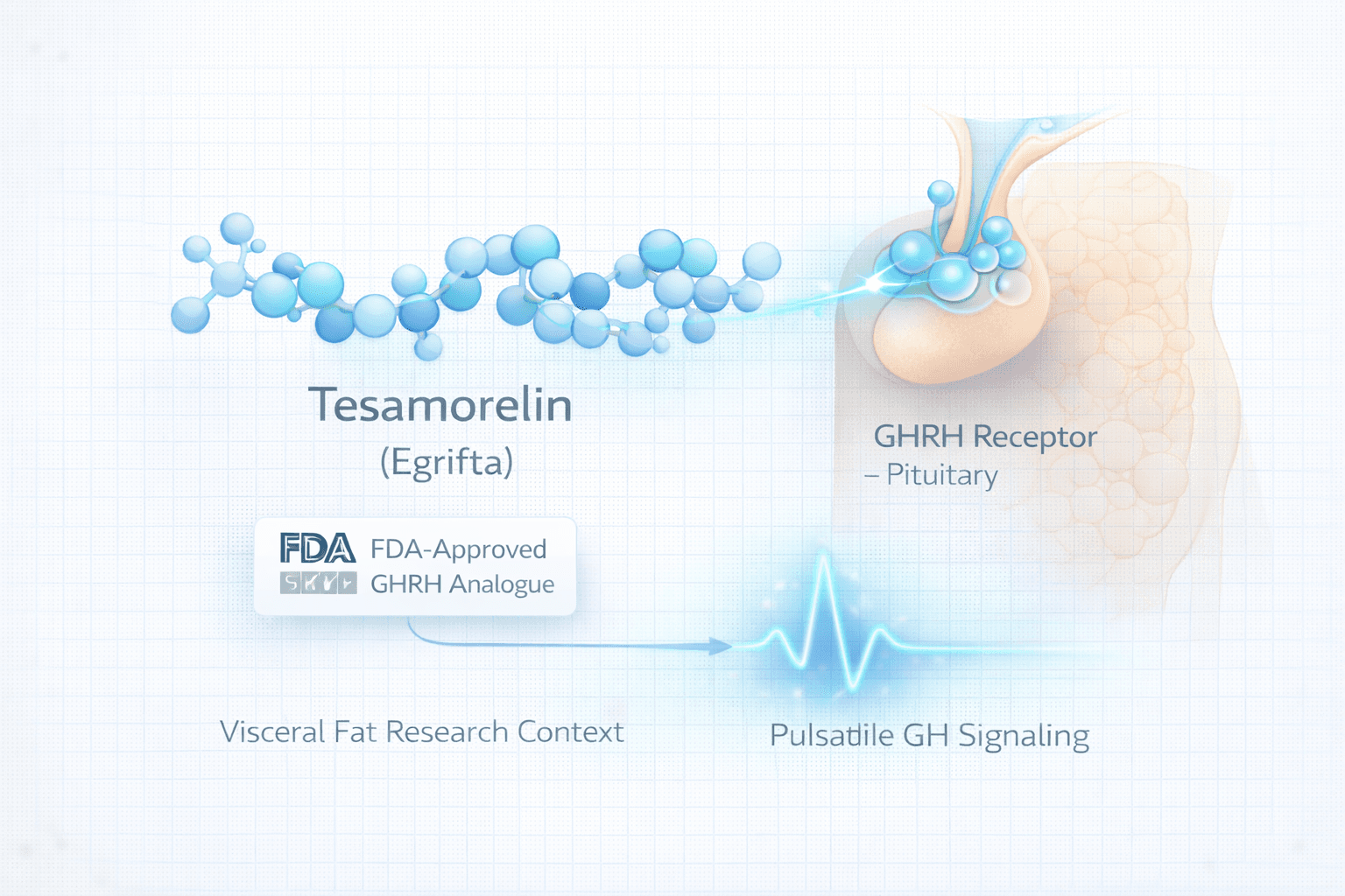 Concept visual of Tesamorelin (Egrifta) as the only FDA-approved GHRH analogue, highlighting receptor-targeted GH pathway signaling and visceral-fat research context.